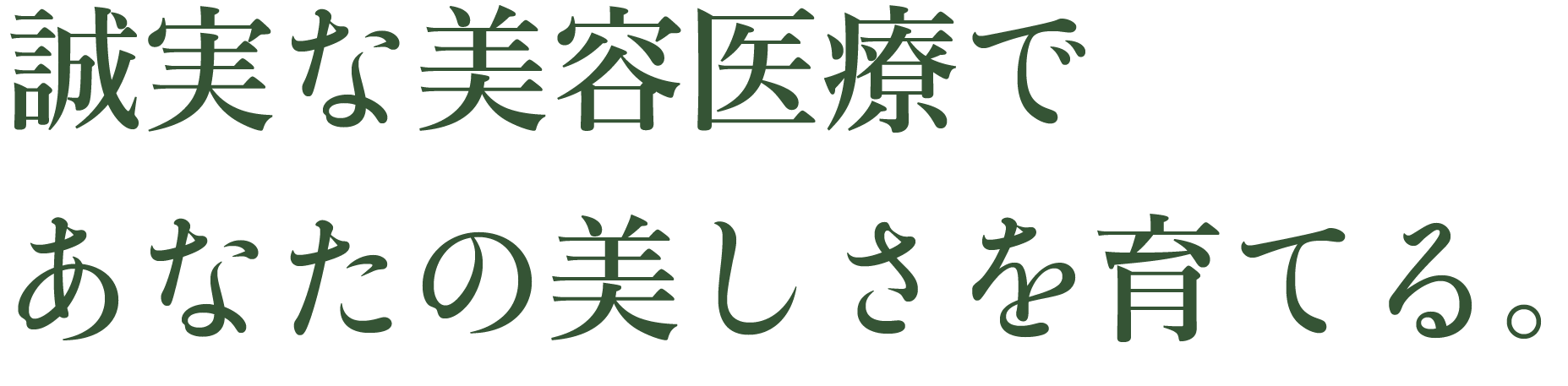 誠実な美容医療であなたの美しさを育てる。